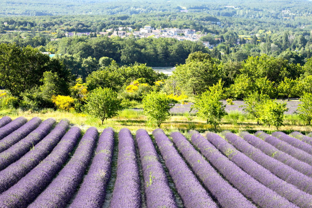 La Bugadiere Salles-sous-Bois Kültér fotó